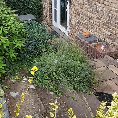 Ruhige In Waldnaehe *