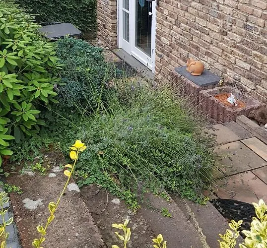 Ruhige In Waldnaehe *